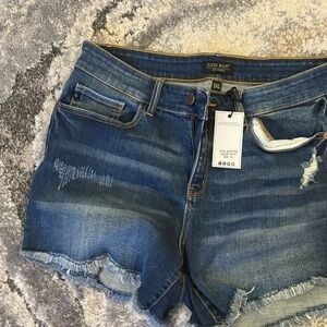 Judy Blue Frayed Hem Denim Shorts